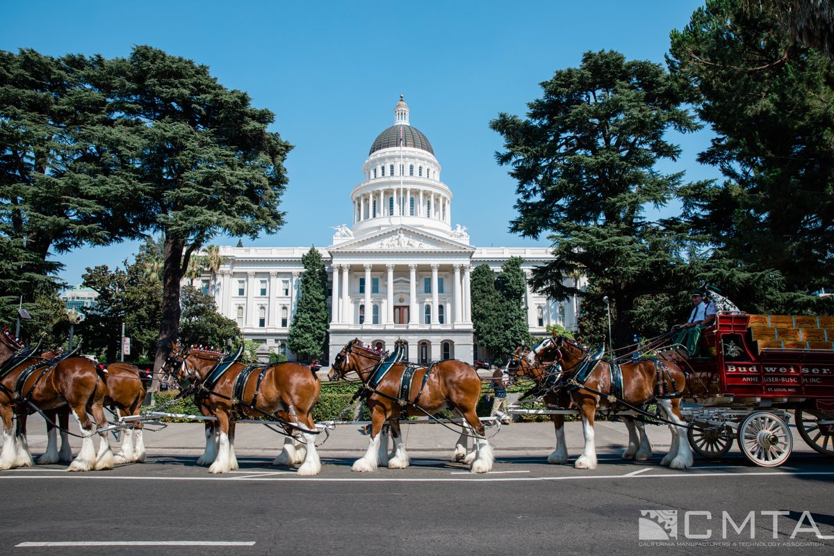 cmta's tweet image. The @Budweiser Clydesdales made a stop at the State Capitol today, as part of their national tour raising funds for veteran families.🇺🇸 Thank you to CMTA member @AnheuserBusch and Budweiser for giving back to communities across the U.S.!