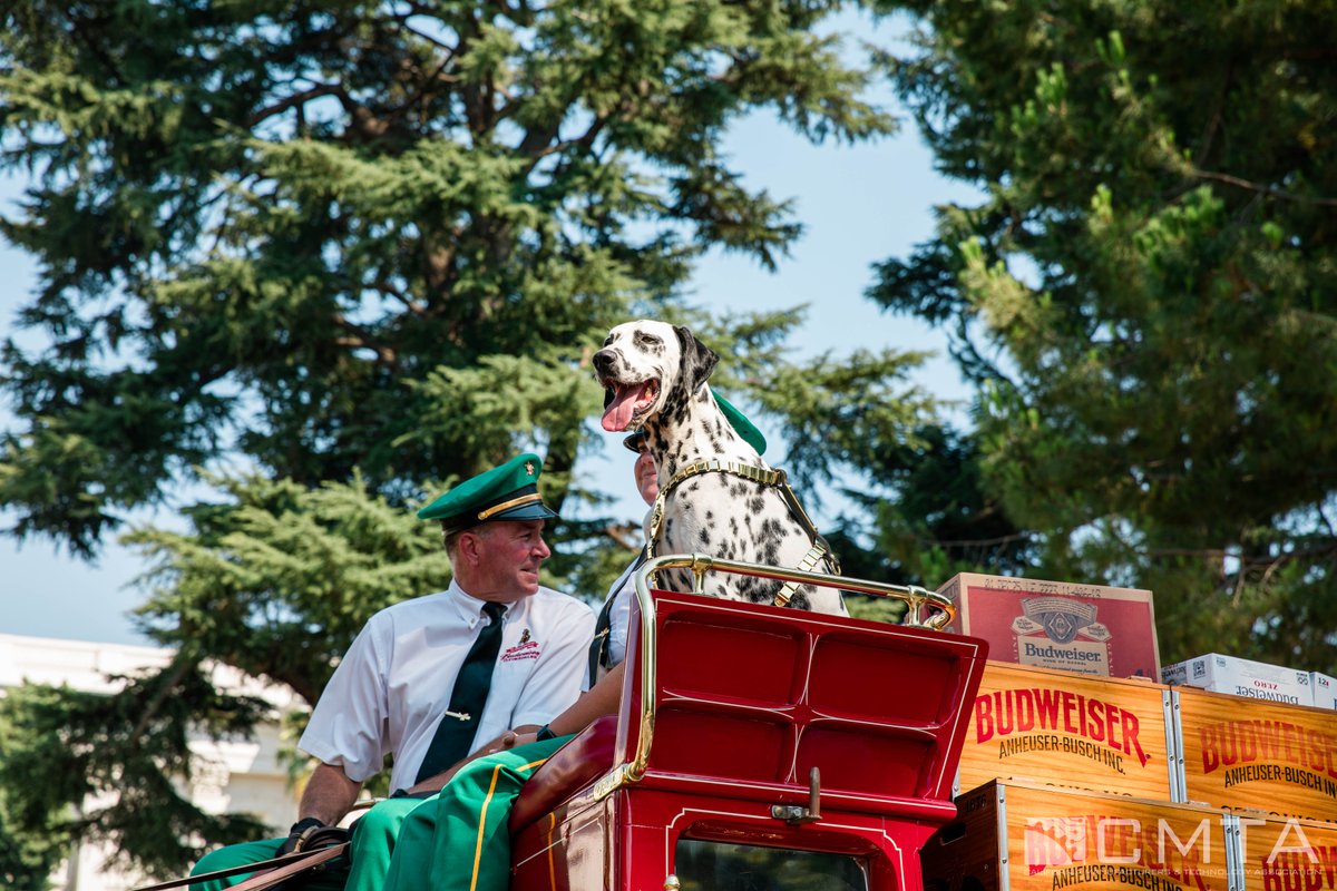 cmta's tweet image. The @Budweiser Clydesdales made a stop at the State Capitol today, as part of their national tour raising funds for veteran families.🇺🇸 Thank you to CMTA member @AnheuserBusch and Budweiser for giving back to communities across the U.S.!