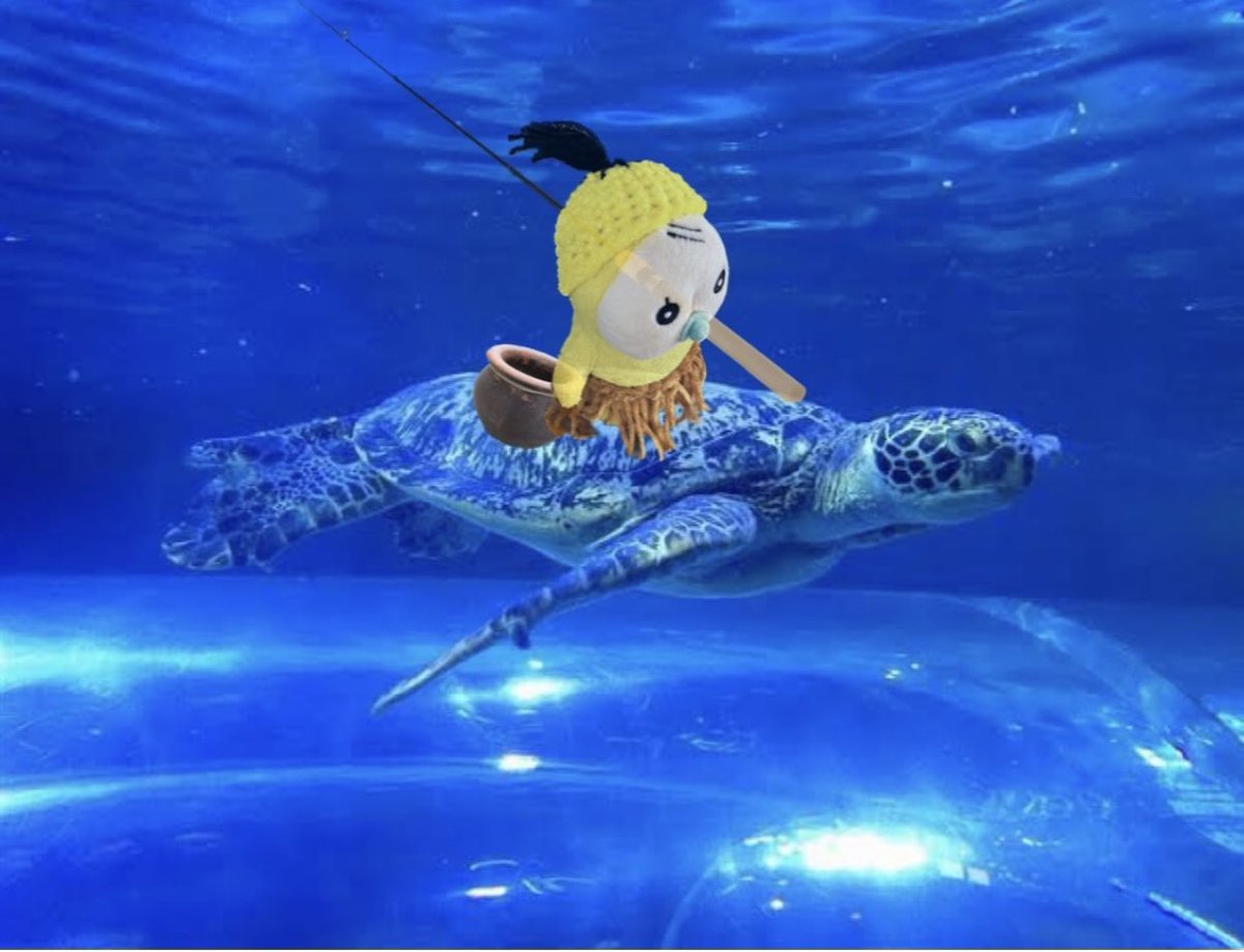 juisudon0826's tweet image. 久しぶりに夢みたいに涼しい朝です🎐

気分はこんな感じ…😊🐢🌊

 #めめたん
 #涼しい朝
 #浦島めめ太郎