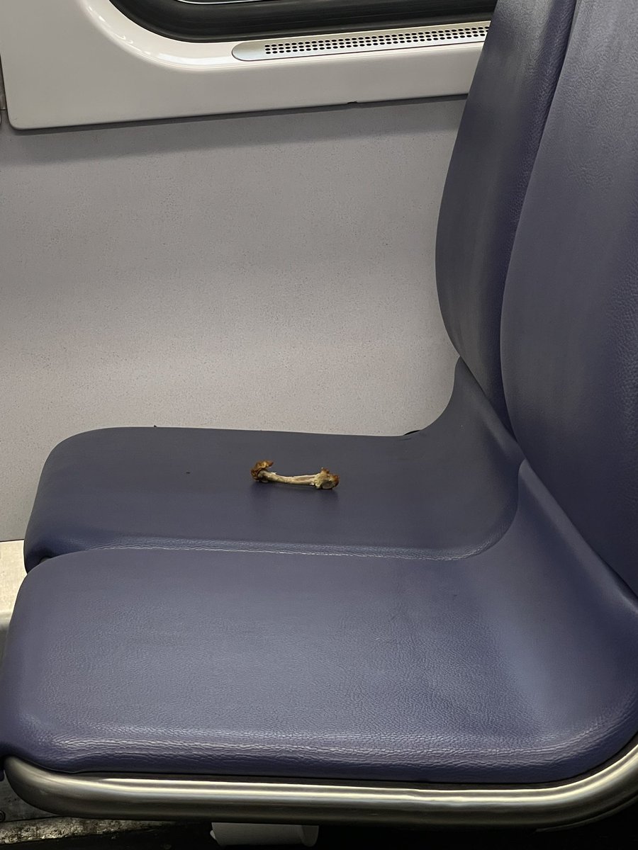 people have no decorum bc ain’t no way 💀 <a href="/WashProbs/">Washingtonian Problems</a>