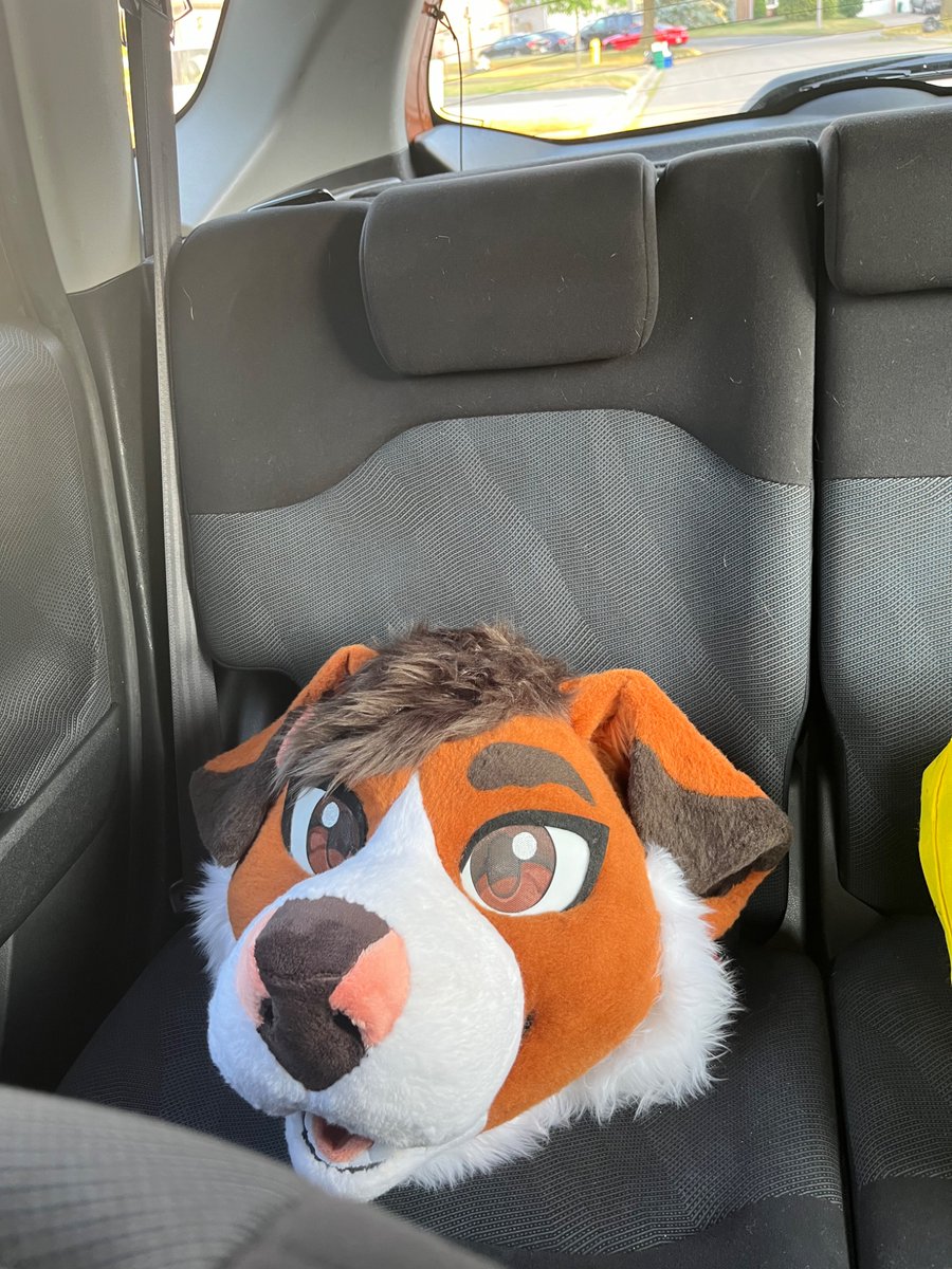๐ท๐๐๐๐๐โฅ๏ธ๐AC (@tollerpup) on Twitter photo Baby on board ๐ข๐ค๐ค๐ค๐๐๐ค๐ค๐๐ค thank u so much <a href="/BoWowBeau/">Beau ๐ Canfur</a> for bringing my critter to life โฆ. wi wi wi๐ญ๐ญ๐ญ๐ญ Baby on board ๐ข๐ค๐ค๐ค๐๐๐ค๐ค๐๐ค thank u so much <a href="/BoWowBeau/">Beau ๐ Canfur</a> for bringing my critter to life โฆ. wi wi wi๐ญ๐ญ๐ญ๐ญ