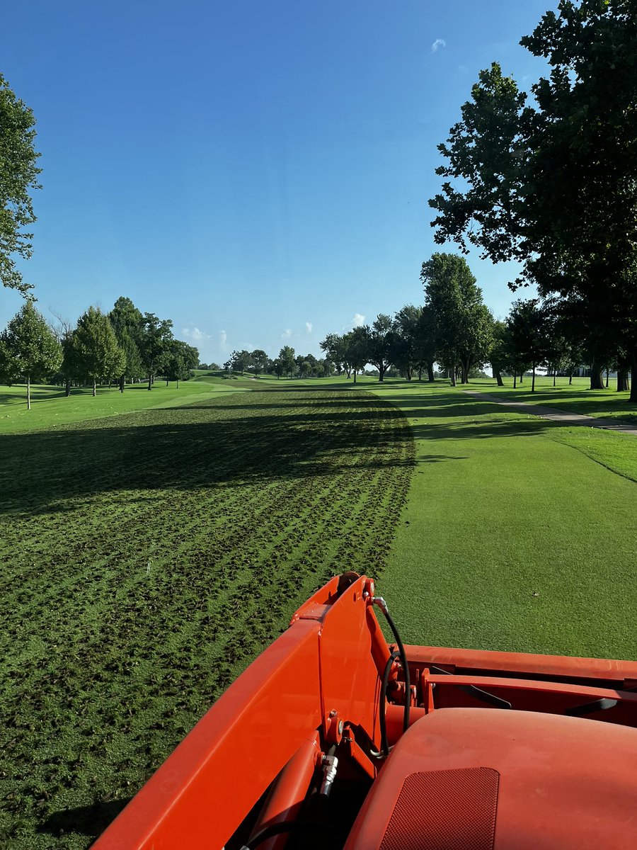 Daniel Mills tweet media