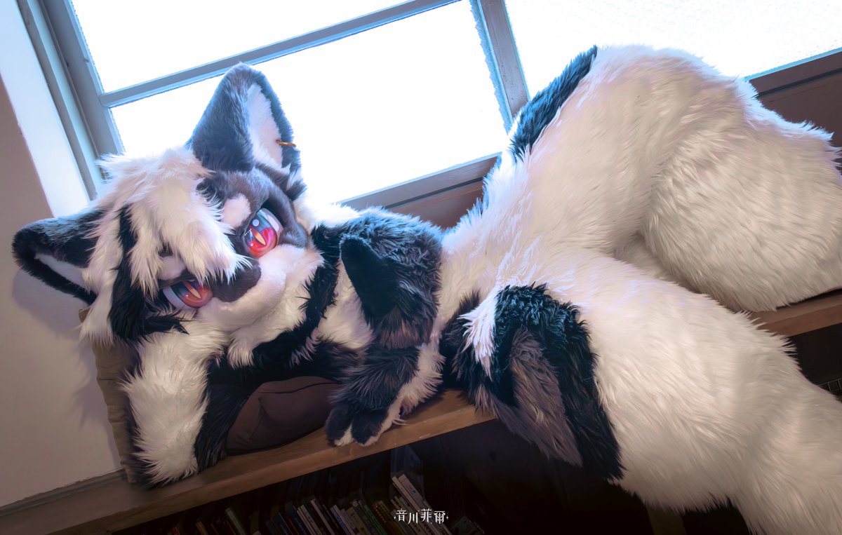 「早安啊寶貝～」

📷：<a href="/RA_FAIER/">⚡️菲爾フィル⚡</a> 
#FursuitFriday