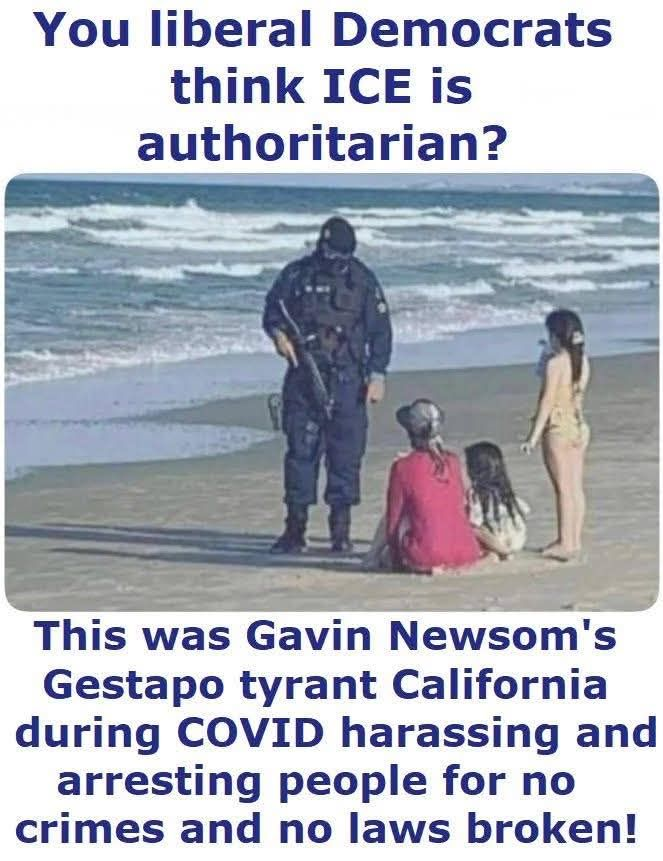 Dear LORD! An armed, masked ICE agent disappearing a family on a beach!

* Just kidding; that's only a friendly Covid cop in California providing freedom, health and happiness to the people.