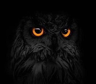 The rate at which I spend my nights awake these days ehn ... hmm🤔 
I shaa hope say no be say I don join ẹgbẹ́ àjẹ́ (witchcraft) unknowingly.😯
Abi I don dey turn owl🦉 ni🤔