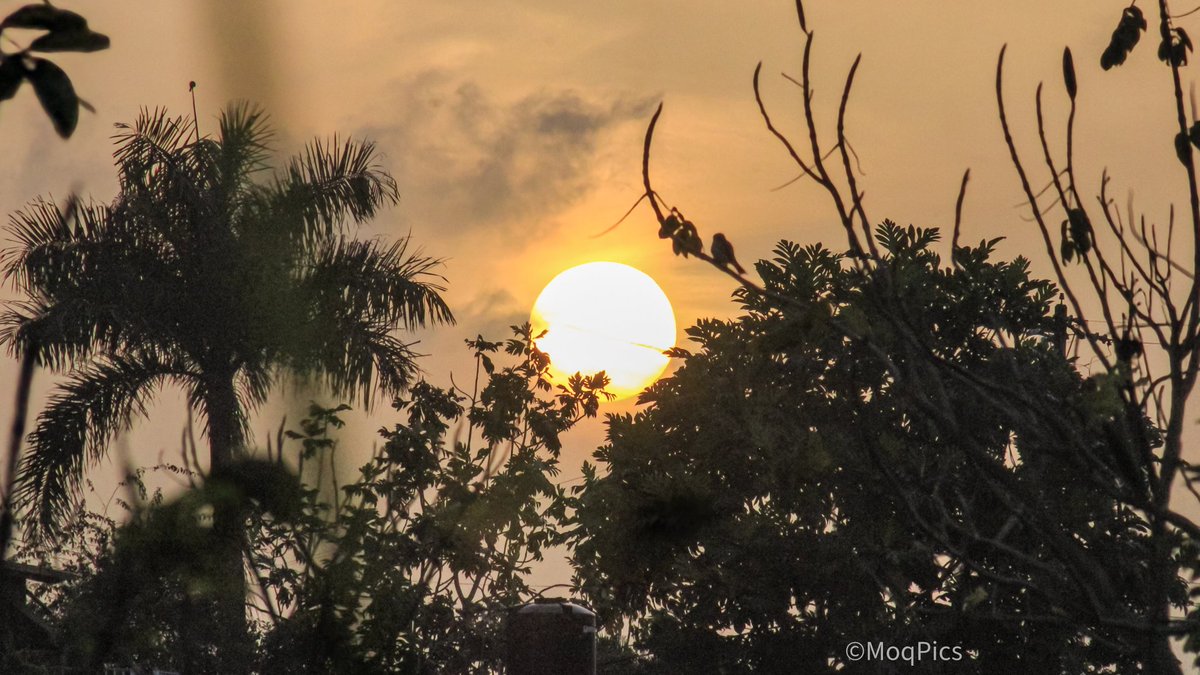 moqjazz's tweet image. Tomada esta tarde desde la parte campestre del Expreso Martinez Nadal. #sunsets @SLopezTiempo @383_787 @adamonzon @AWA_013 @DeborahTiempo @BoricuaVasca @EliRobainaTV @bredle @KevinDelbrey @BrujaBoricua_2 @SusanSoltero @CycloforumsPR @NWSSanJuan @Fernando_AF14 @weatherchannel