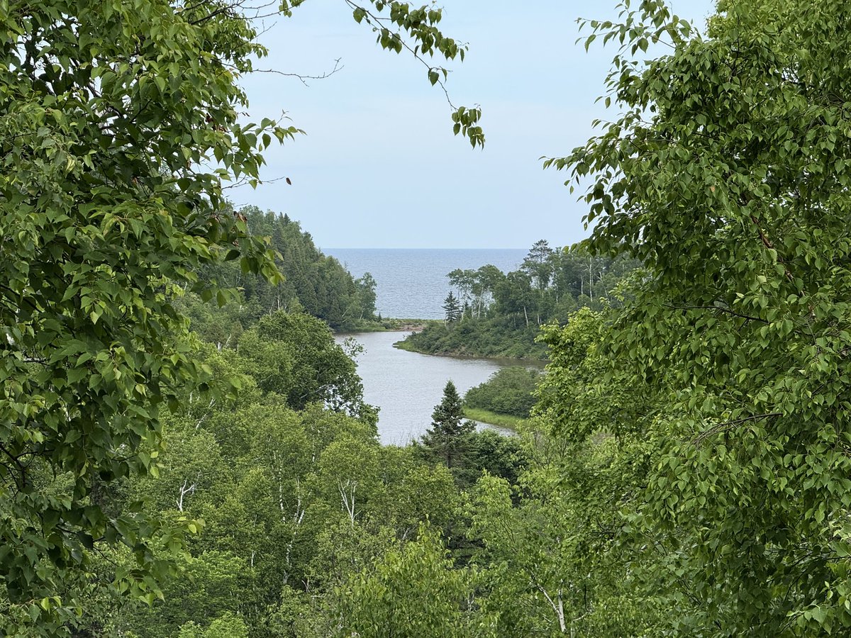 Branden Flasch tweet media