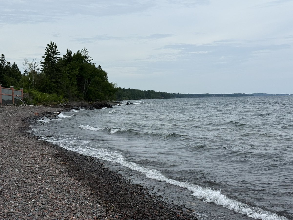 Branden Flasch tweet media