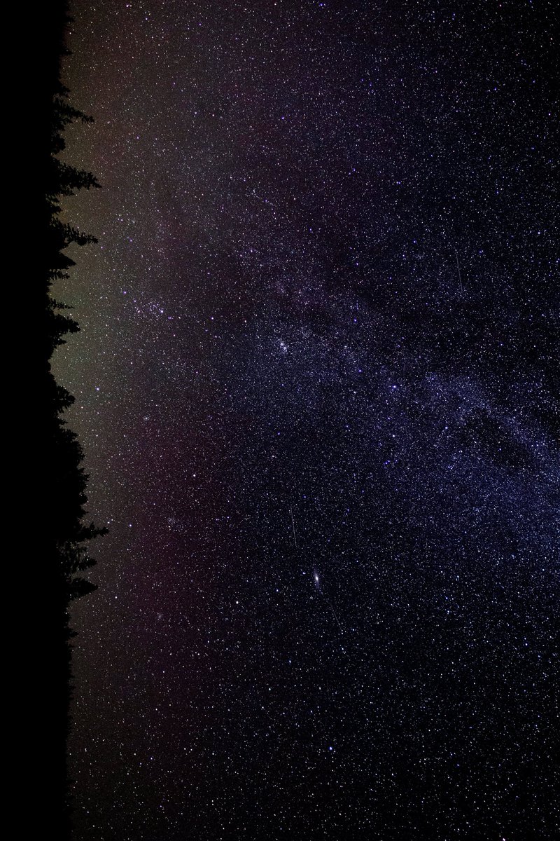 So many stars ✨