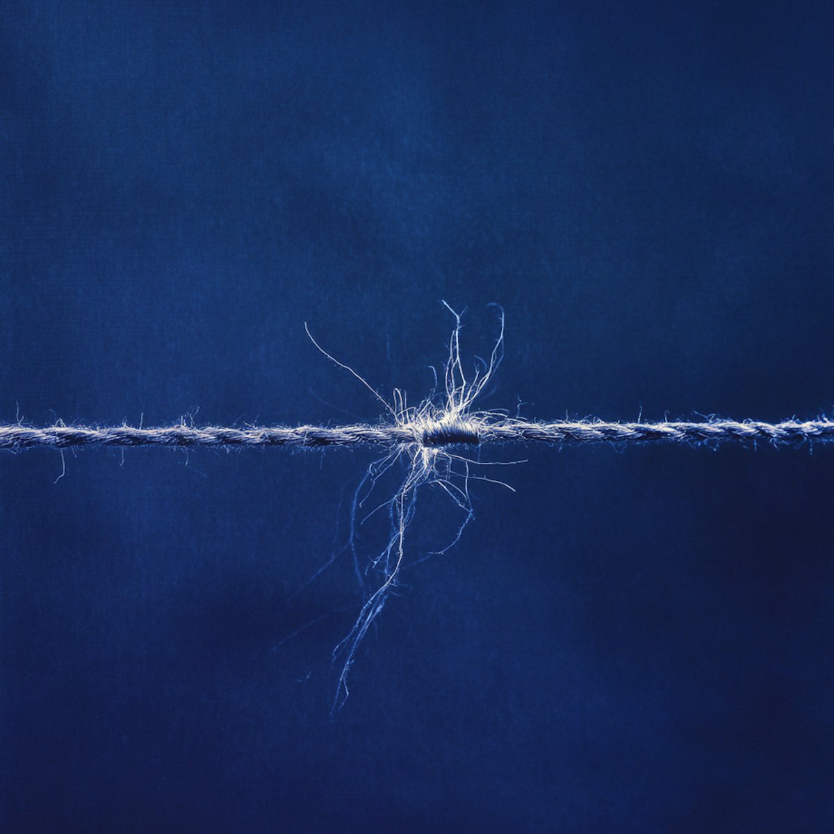 Ben Aubergine – “Spoke For What I Knew”
sleepingbagstudios.ca/ben-aubergine-…
#BenAubergine 
#SpokeForWhatIKnew 
#Singles 
#MusicReview 
#sleepingbagstudios