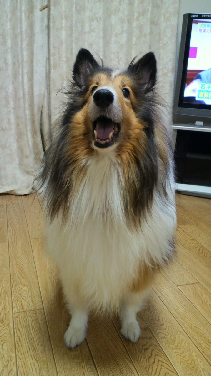 食いしんぼでとても可愛かった