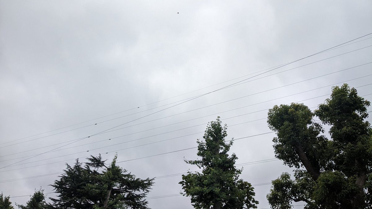 Yt8sGFpx5LjEumR's tweet image. #翼の領域

これくらいの天気と気温が
ちょうどいい☁