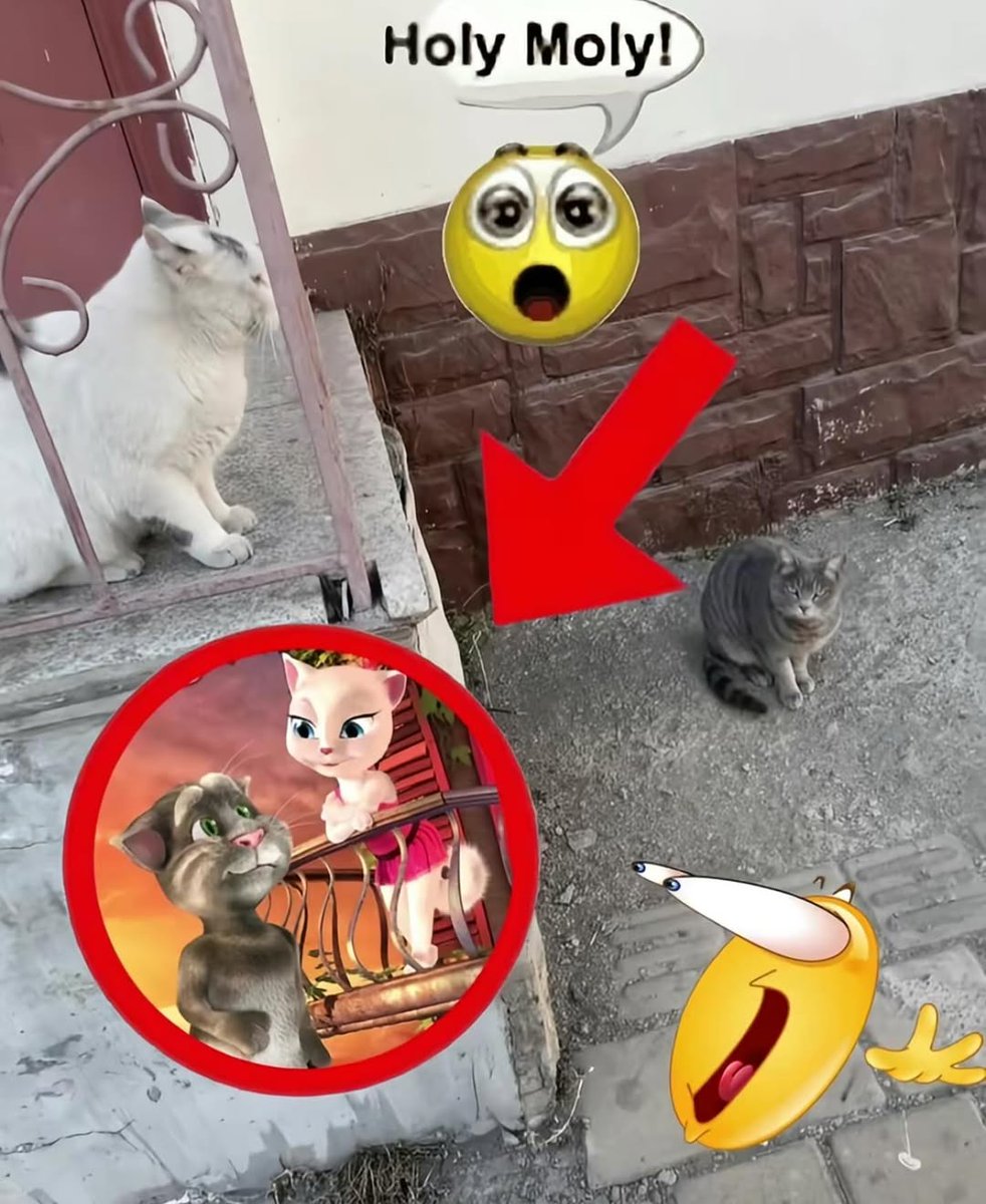 Your Typical Local Man (@localbateman) on Twitter photo 