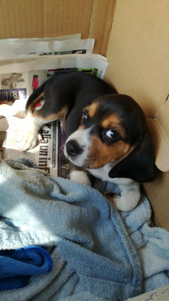 Del Real tweet media