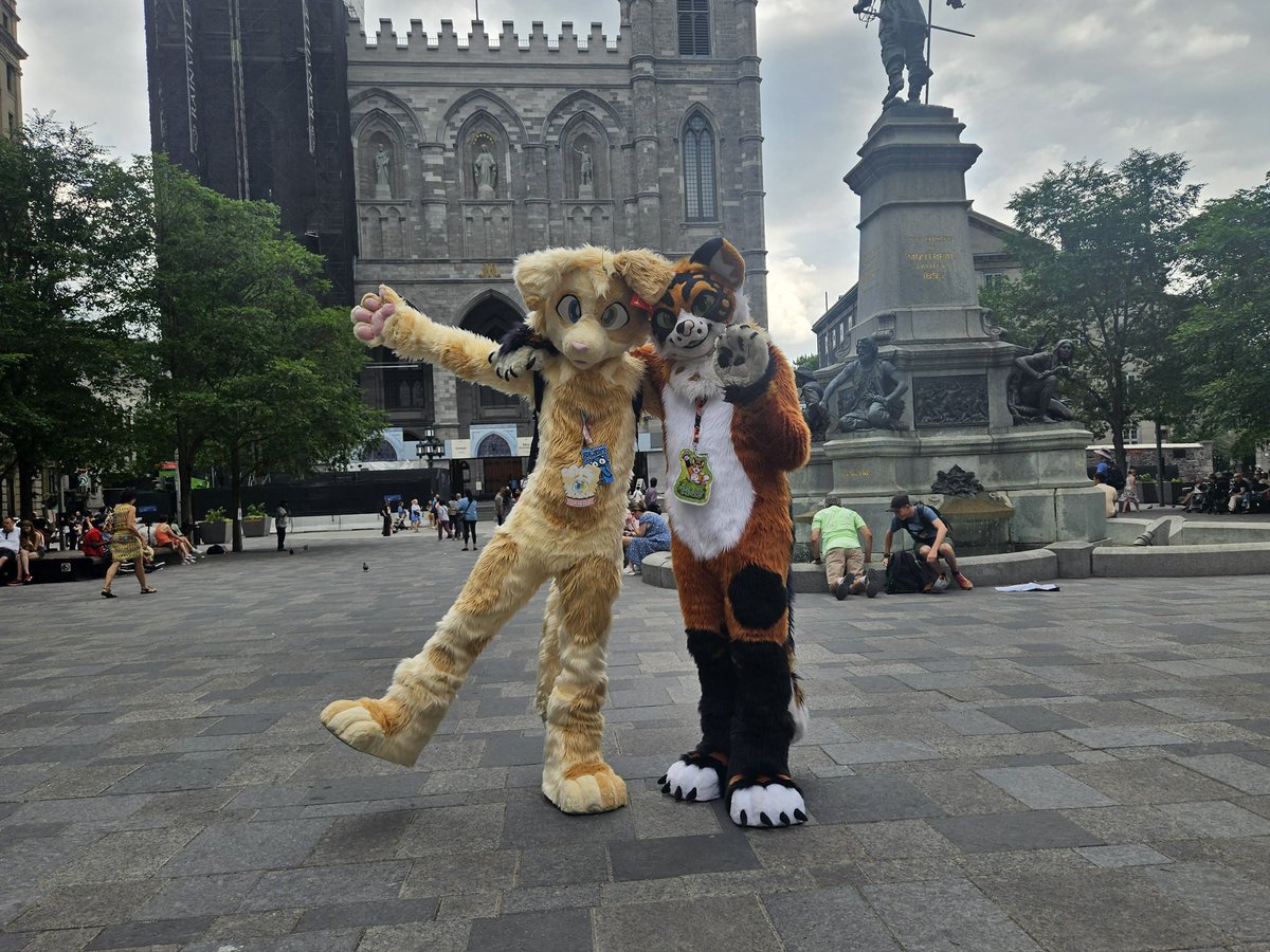 Malo_Kitty tweet media