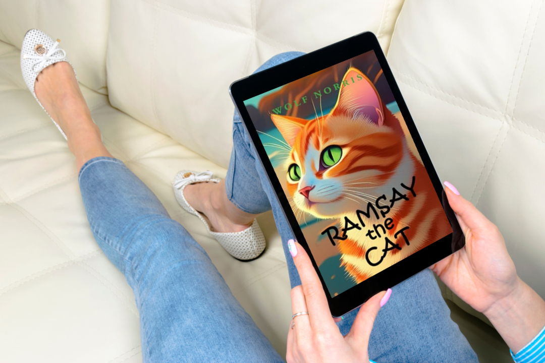 #ramsaythecat looked a lot like this kitten when I #rescued him in #africa except with green eyes- read more about Ramsay named after my #favorite #chef #gordonramsay 

rb.gy/2rg3tn