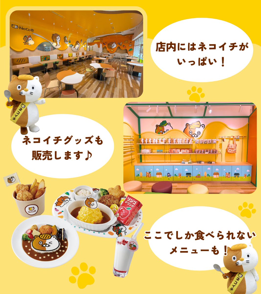 ＿＿＿◣＿＿＿＿＿◢＿＿＿ ⠀⠀ネコイチがいっぱいの ⠀⠀⠀⠀新店