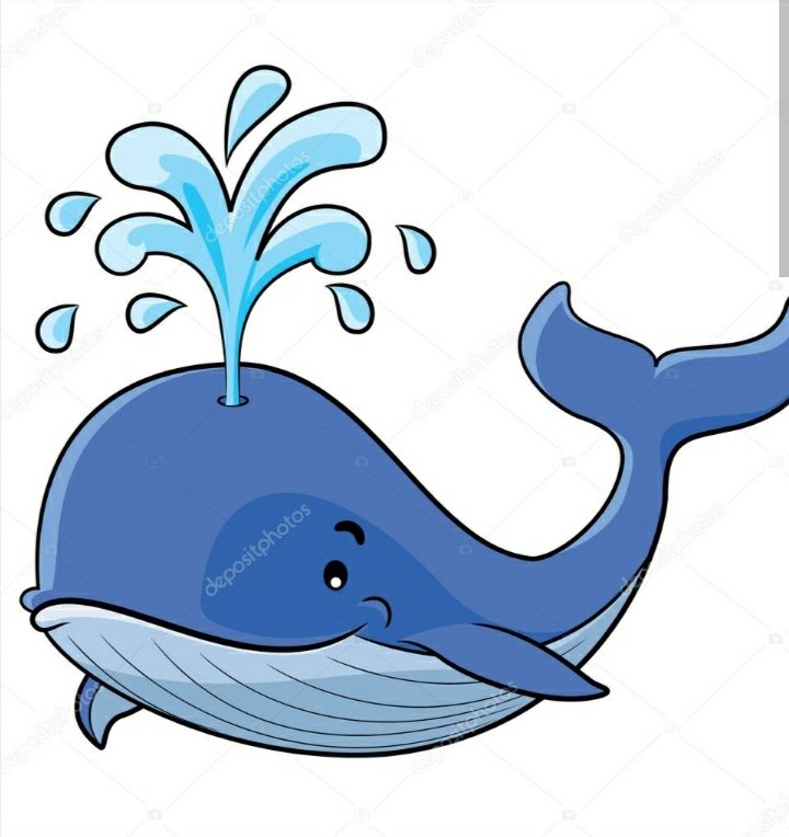 EdinxonLeon's tweet photo. CUAL SERÁ LA LÍNEA DE LA BALLENA YA ME LO IMAGINO:
*BUCARE
*PAMPURA
*CANELA TIME 
POR HAY VAN LOS TIROS 😅😅 https://t.co/rdqq54yq6v