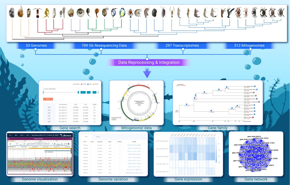 CRUSTADB: An integrated genomics platform for crustaceans. Read more doi.org/10.59717/j.xin…
#lifesciences #TIC2025 #science