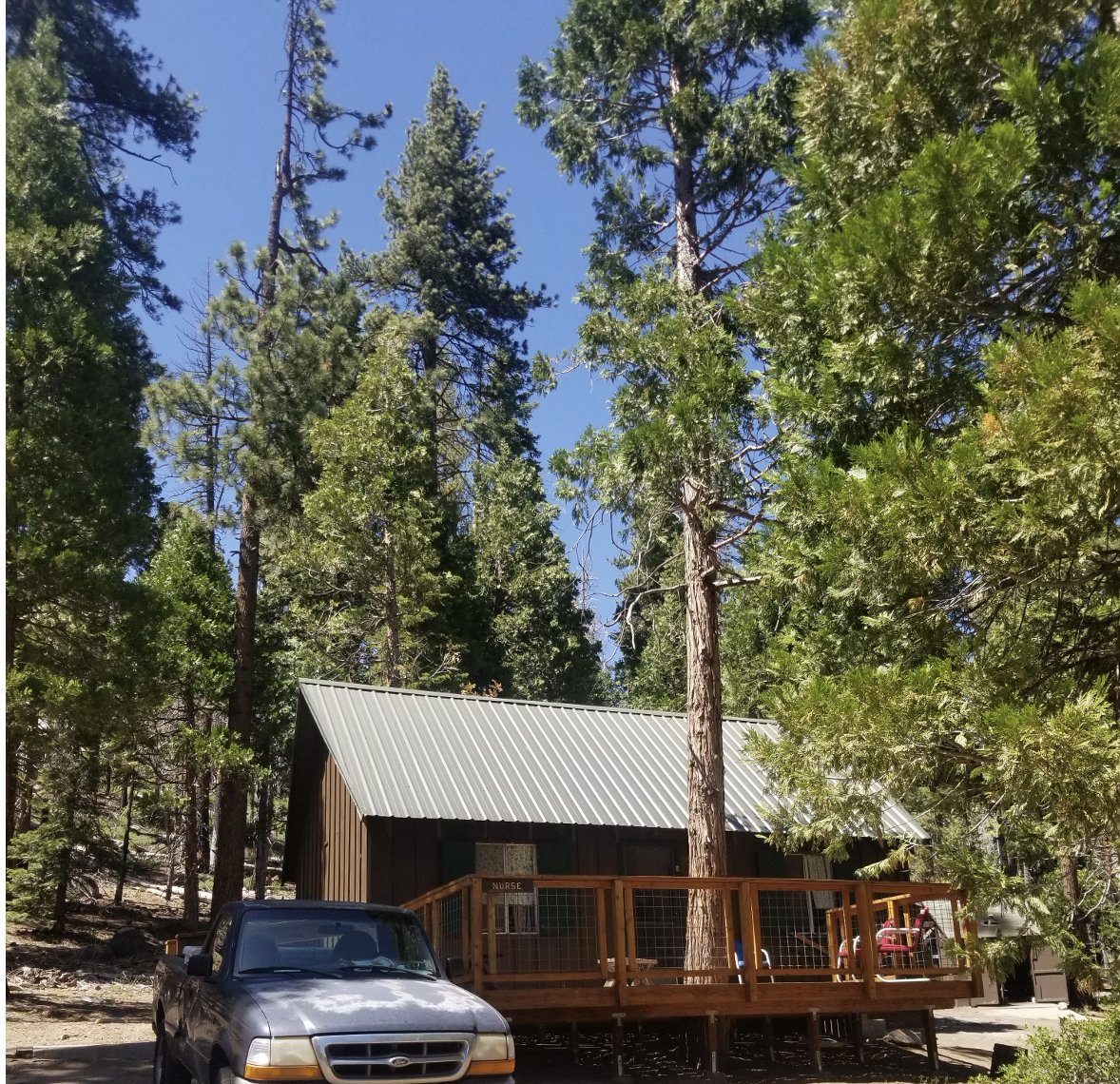 EdEsplin's tweet image. In honor of the 1st year #InternalMedicine #interns & #residents that started in July, here is my call room for the week (and a local neighbor) at Young Men's Camp Liahona in Stanislaus National Forest, home to a Western Juniper estimated to be here since ~200BC.