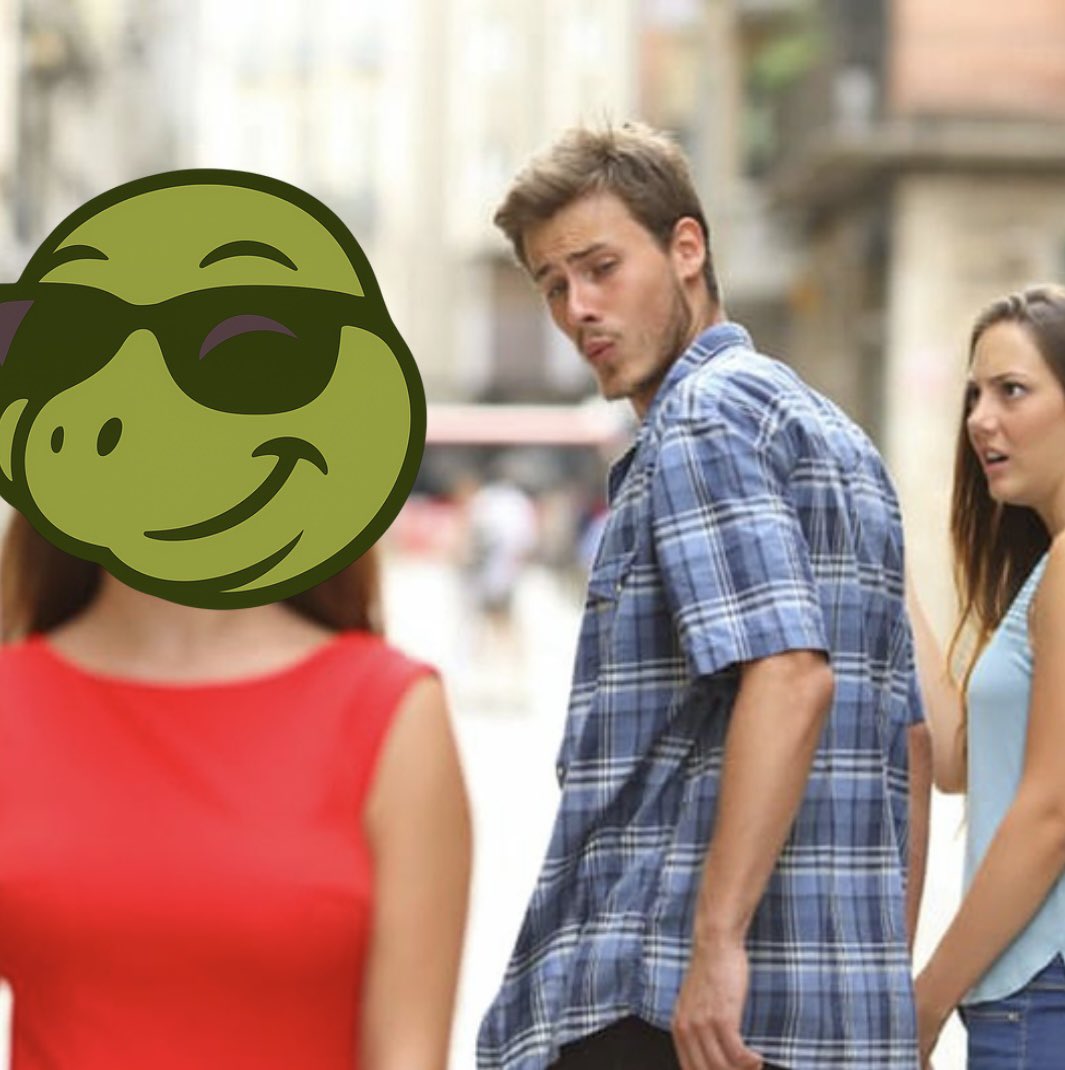SLOMOTheTurtle's tweet image. #SLOMO #TurtleToken #meme #Trending #memecoins #crypto #PUMP
