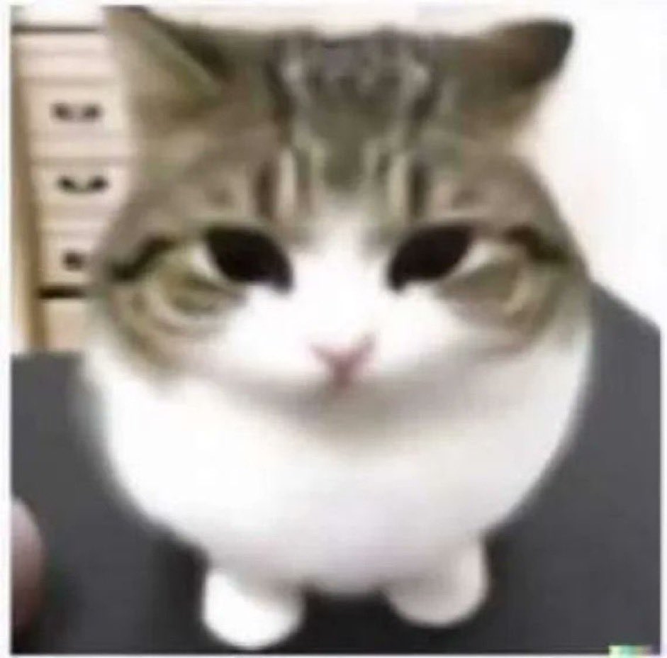 haiiii all i’m back from my 4 day bender and ready to lock back in