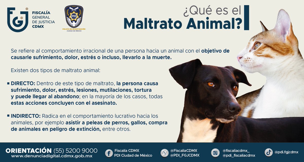 A todos los comportamientos que involucren desde   dolor innecesario hasta estrés en los animales se les considera un abuso. Si   eres testigo de algún caso, en la #PDI te escuchamos. ¡Identifica y   #Denuncia!