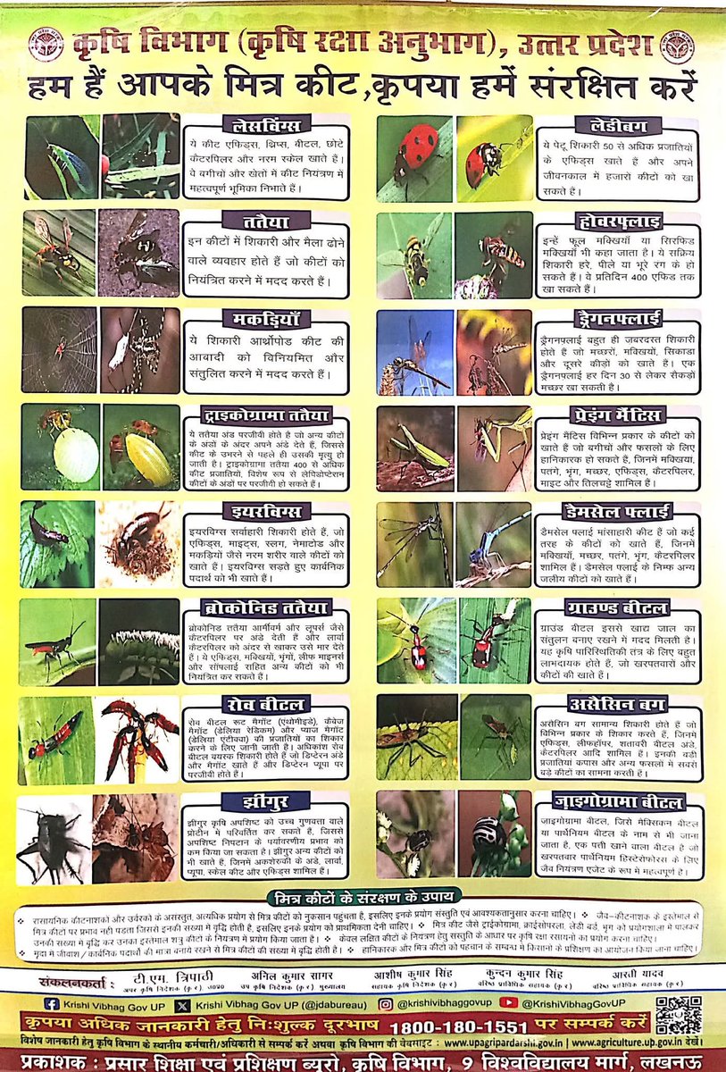 खेत में पाए जाने वाले सभी कीड़े और जीव फसल को नुकसान नहीं पहुँचाते। कुछ कीड़े मिट्टी के स्वास्थ्य और फसल की वृद्धि के लिए उपयोगी भी होते हैं।

जानिए फसल के लिए कौन से कीट महत्वपूर्ण हैं और आप उनका बचाव कैसे करें?

#NewsPotli  #soil #soilhealth #insect #farming #kisankalyanup