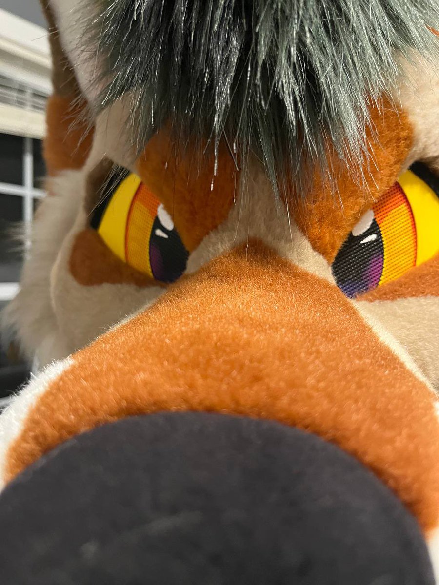 𓃥 Churro 𓃥 tweet media