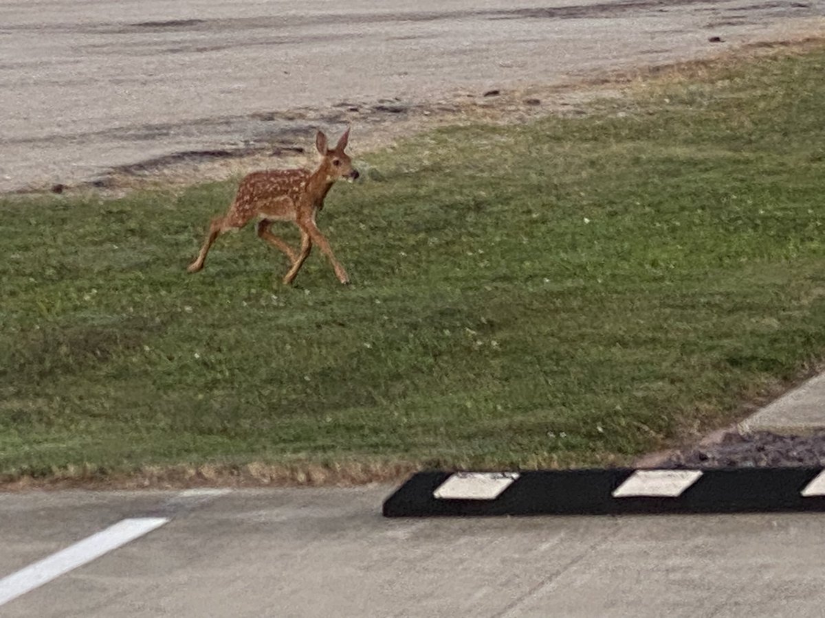 Matt Ramsey tweet media