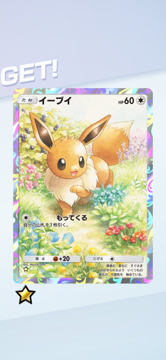 未開封】イーブイ 247/SM-P みんなの物語 フレンズパレット＋おまけ付