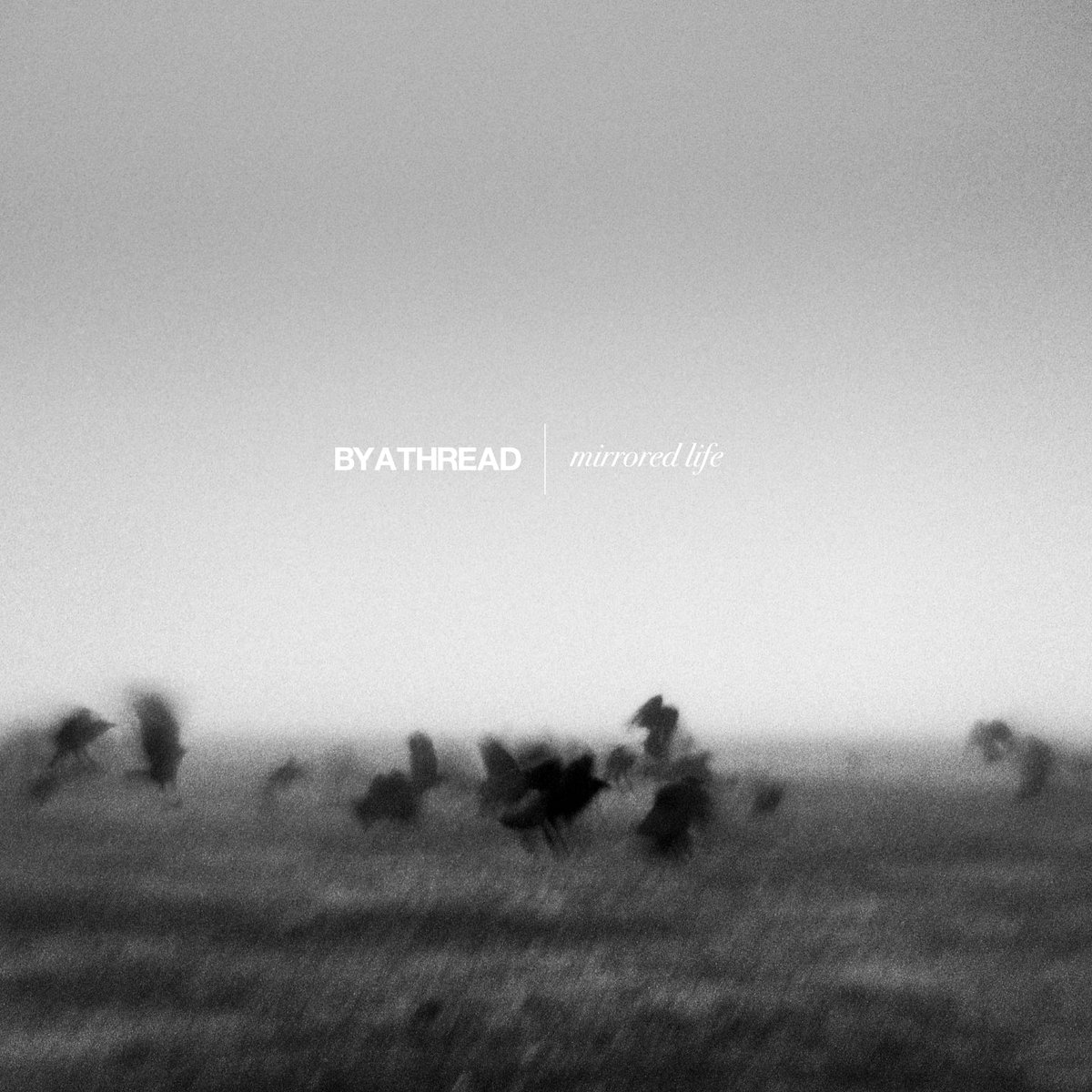 emotive sunday (@emotivesunday) on Twitter photo By a Threadはアルバム"Mirrored Life"を9月12日にリリースすると発表しました
<a href="/spartanrecords/">Spartan Records</a>
spartanrecords.com/products/by-a-… By a Threadはアルバム"Mirrored Life"を9月12日にリリースすると発表しました
<a href="/spartanrecords/">Spartan Records</a>
spartanrecords.com/products/by-a-…