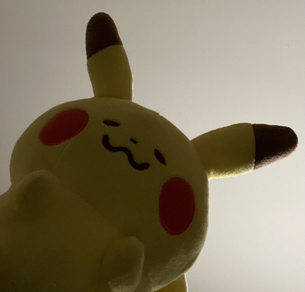pikachu stole my credit card and called me a bitch tweet media