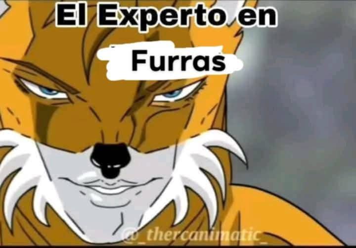 Me pregunto si mis Mutuals querran conversar conmigo. No muerdo eh, solo soy olvidadizo.  O talvez les doy verguenza..perdon.
