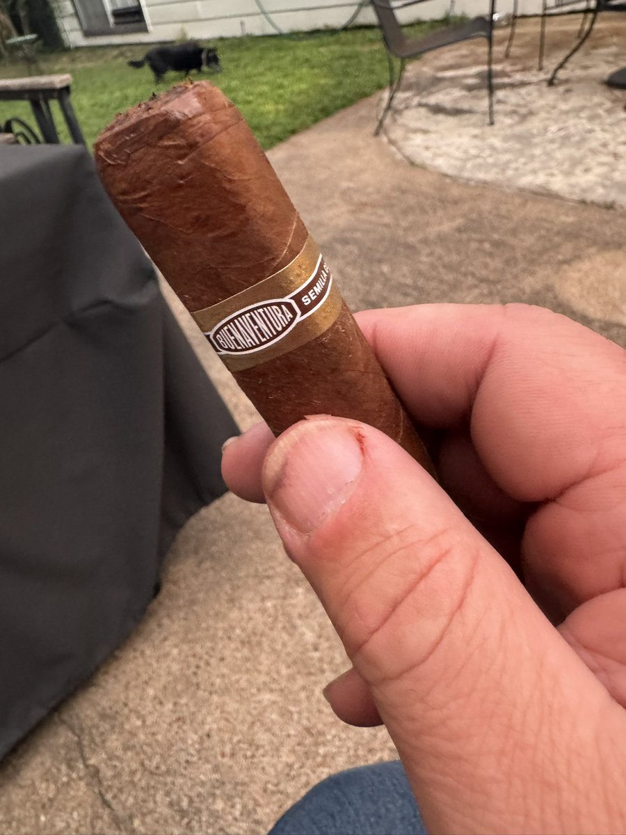 <a href="/RobustoBabe/">Robusto Cigar Babe</a> <a href="/JeffBOTL/">JeffBOTL</a> @CigarChairman <a href="/writercimasuda/">Charlie Masuda</a> <a href="/Mike_W_Simpson/">The Mentor</a> <a href="/TNHerfin/">Tennessee Herfin</a> <a href="/PistolCliff/">Cliff Wilson</a> <a href="/cigarprop/">Cigar Prop</a> <a href="/John34MOS/">John T 🇺🇸 🇮🇪 ☘️👮‍♂️ ⛳️</a> <a href="/daniel4742/">Daniel in Tempe</a> <a href="/sctworthy/">Scott Worthington</a> <a href="/greggwriter/">Collector Writer</a> <a href="/supercigardave/">Super Dave</a> <a href="/EyeGravee/">Gravee Eye</a> Just taking part in #ThuraThursday- with my #BV560 <a href="/CurivariCigars/">Curivari Cigars</a>