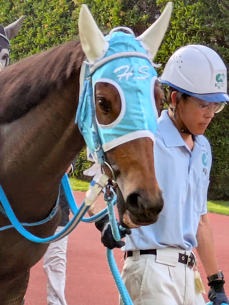 カトリーヌン (@Buddleja_suki2) / Posts / X