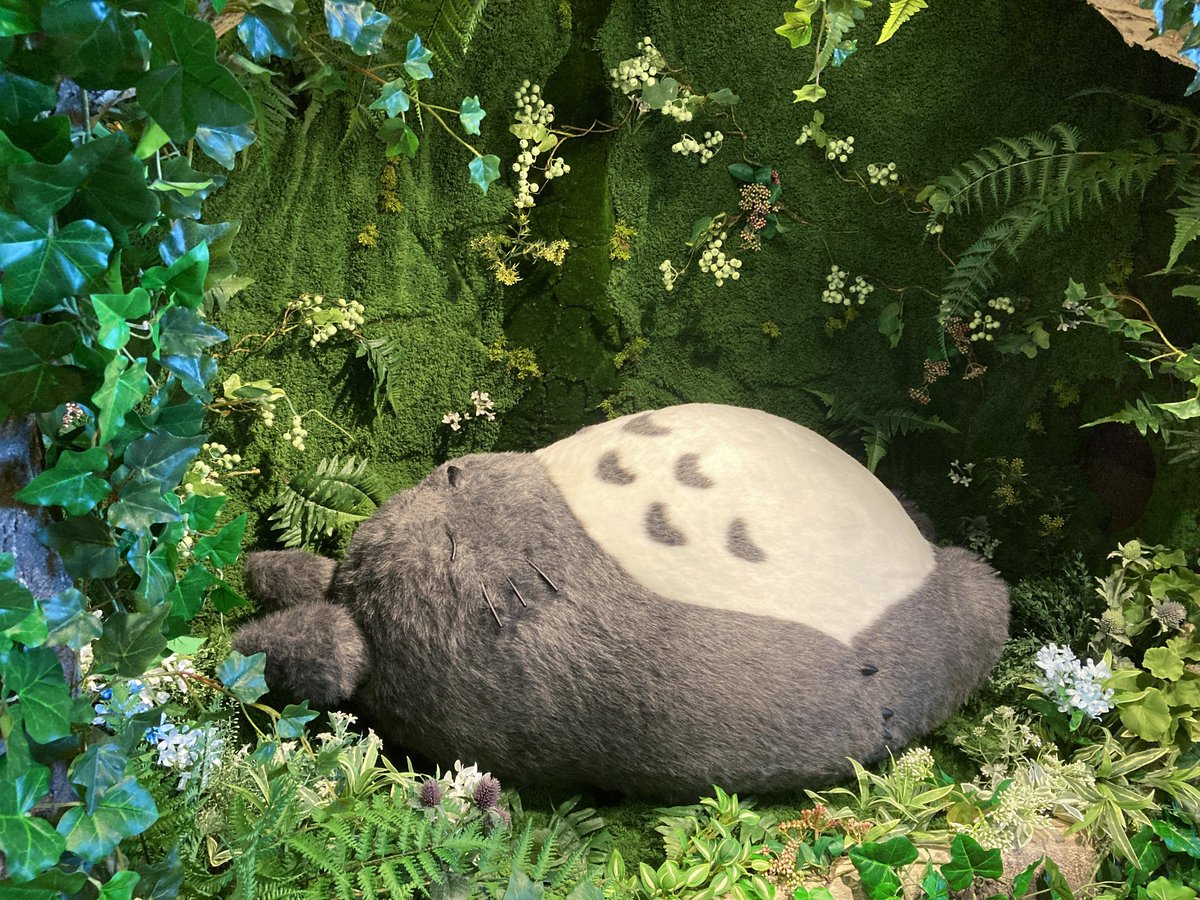 ジブリがいっぱい どんぐり共和国【公式】 on X