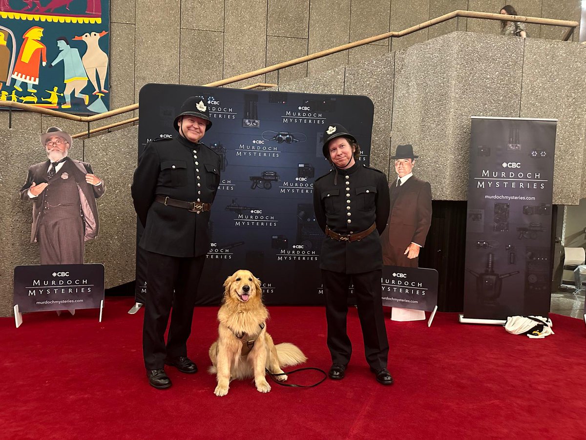 PTSD Service Dog tweet media