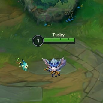 TuskyMartini's tweet photo. @Gnaracervo Só tenho essa pq é a única skin dele que tem no LoL de bolso https://t.co/QNys0e9CGw