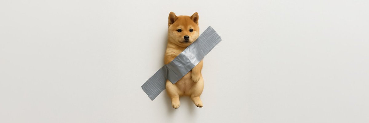 $BTW | Bonk taped wall

CA: ChAeyPoAVgmYRxjdNhEs1tGtUTPLvzVpArWESAN1bonk