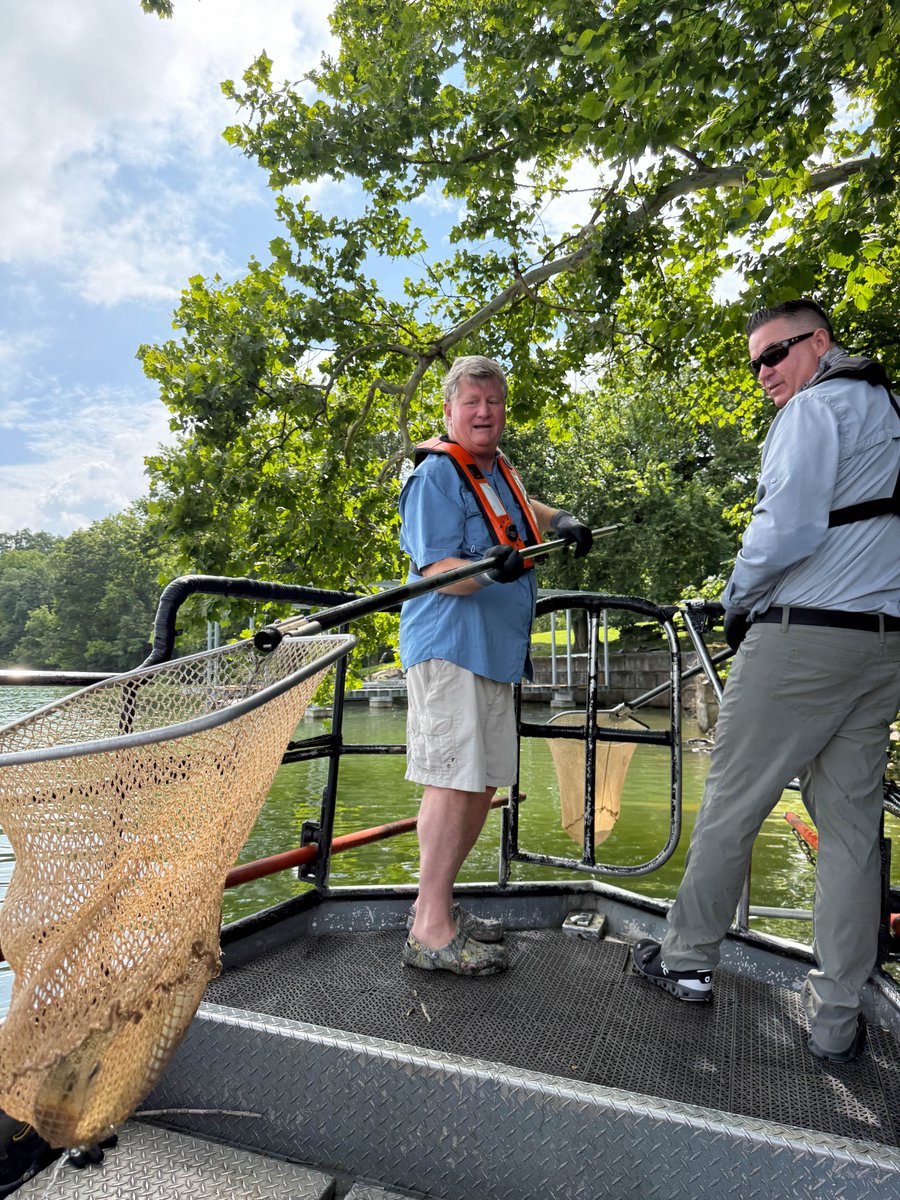 RepAlexander7's tweet image. A great morning on Boone Lake with TVA looking at the different species of fish & if they're healthy. Healthy fish means we have a healthy reservoir. The way we manage our river systems in TN brings in nearly $12 billion to our economy and supports over 130,000 jobs.