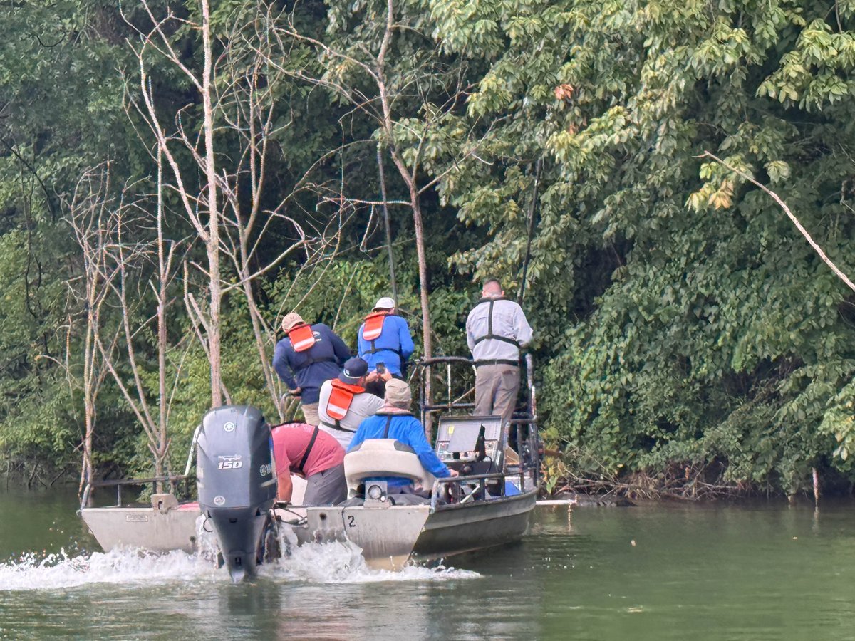 RepAlexander7's tweet image. A great morning on Boone Lake with TVA looking at the different species of fish & if they're healthy. Healthy fish means we have a healthy reservoir. The way we manage our river systems in TN brings in nearly $12 billion to our economy and supports over 130,000 jobs.
