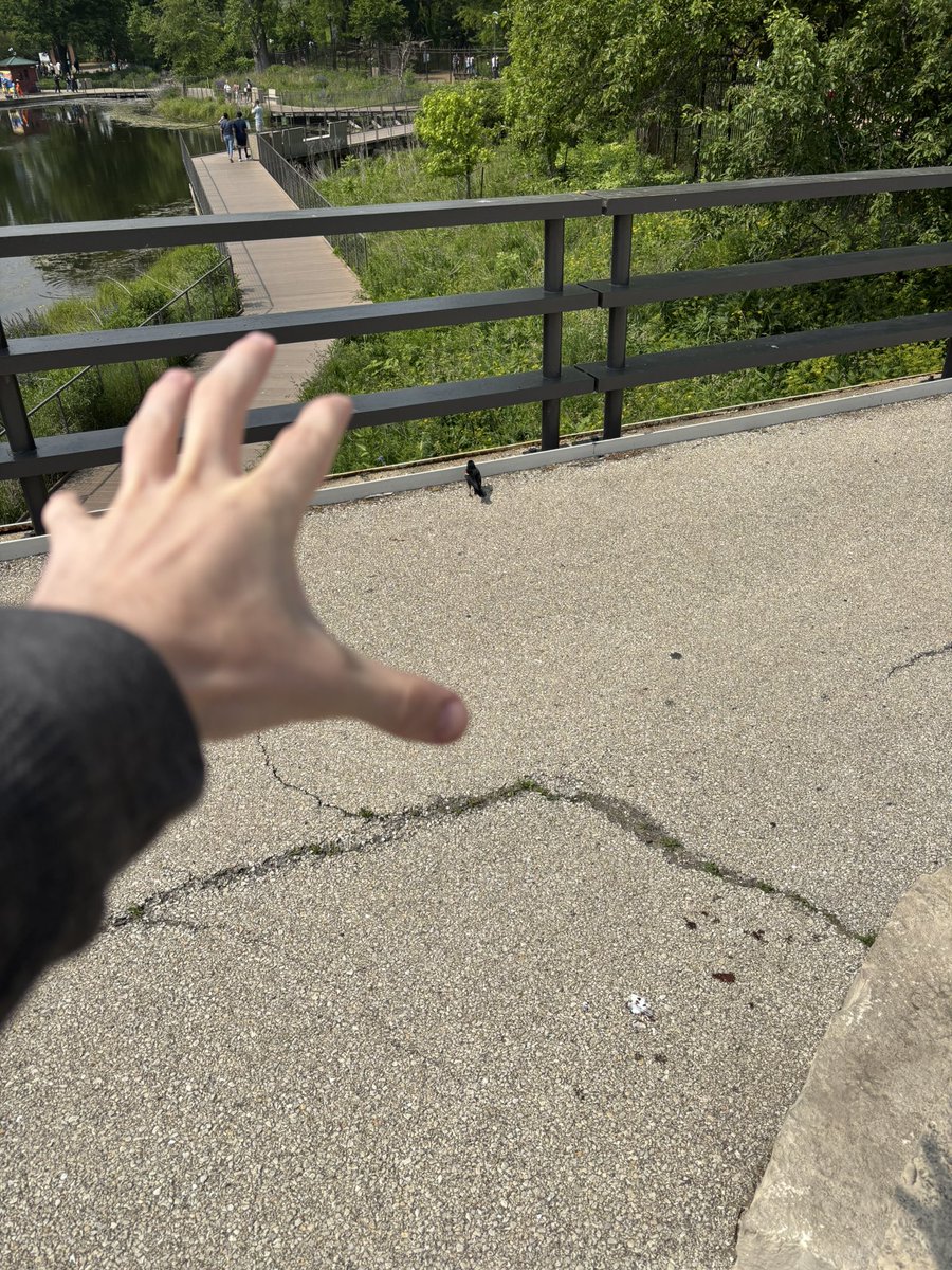 GnuckyC's tweet photo. @SlimeySlimers The opinion of someone who has an in house washer and dryer already

Also saw a stupid bird a bit ago https://t.co/VcYkIHZo6Z