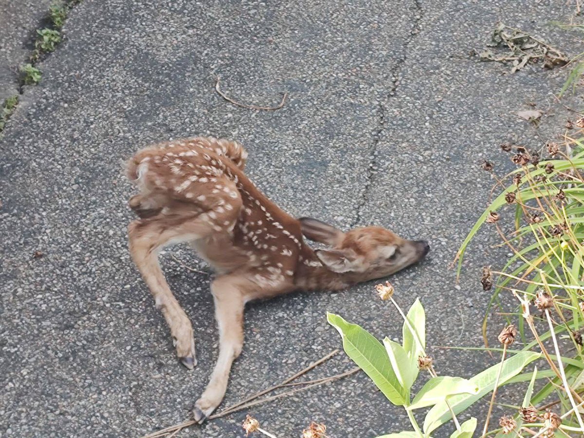 me the moment I get home from work