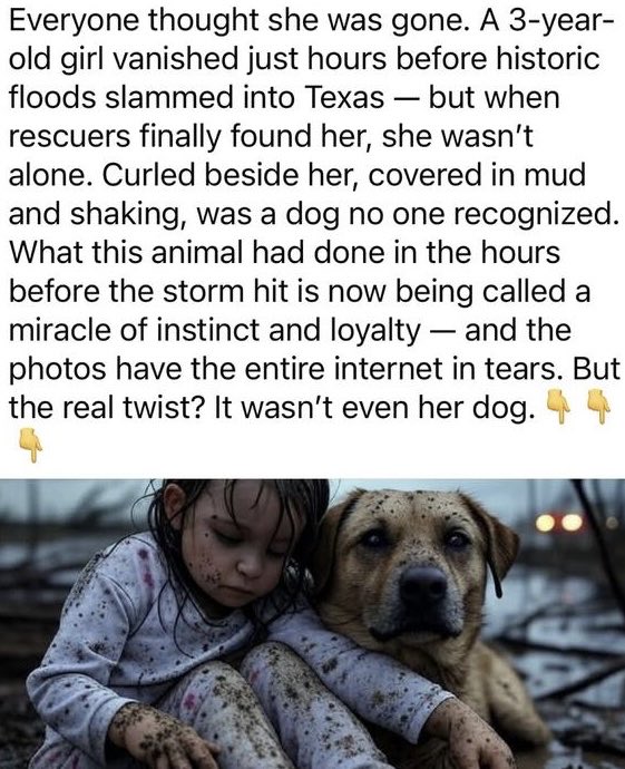 SparksN123 tweet media