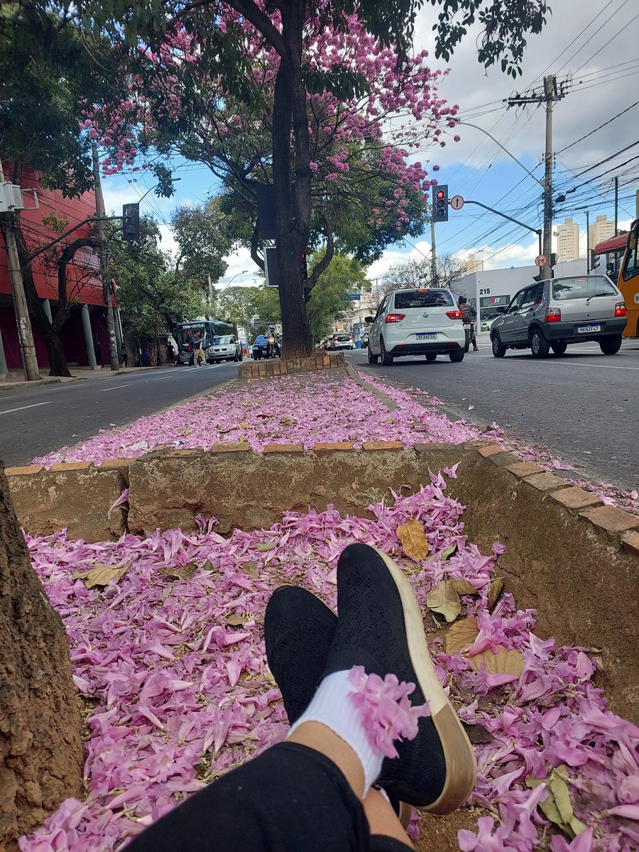 CarinaRabelo's tweet photo. num caminho das flores, fiz o meu dia 🩷🤍
#iperosa #belohorizonte https://t.co/LsKSFrHclu