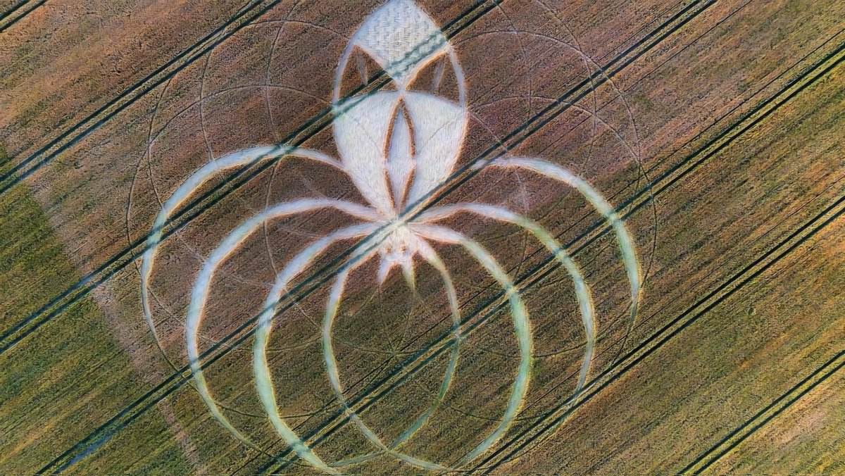 🚨 The New Crop circle that appeared on Dorset, UK

Thoughts? 

#Ufotwitter #NHI #Uap