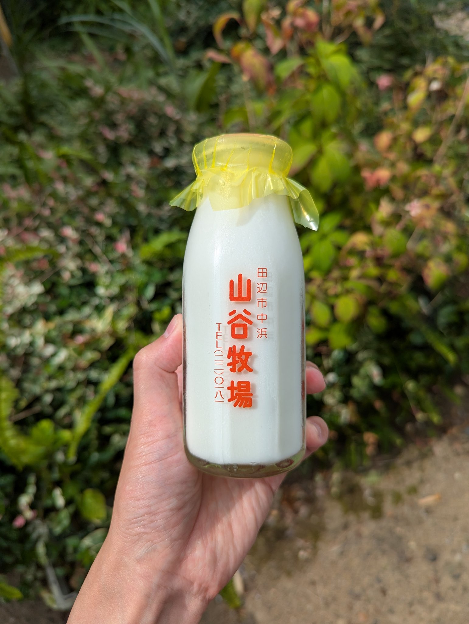 碧空清乳舎 (牛乳キャップ蒐集) on X: 