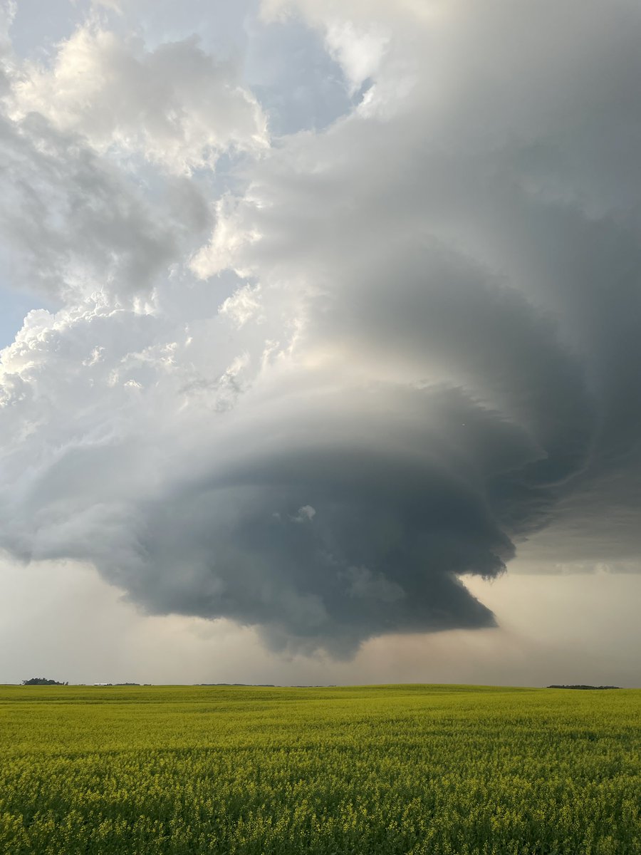 Dustin Freeman tweet media