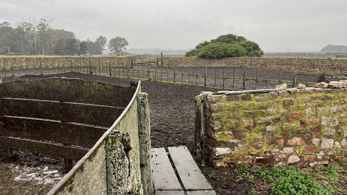 Los corrales de El Bonete tienen su noseque